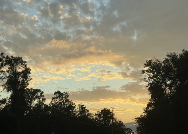 Back in the Bluegrass