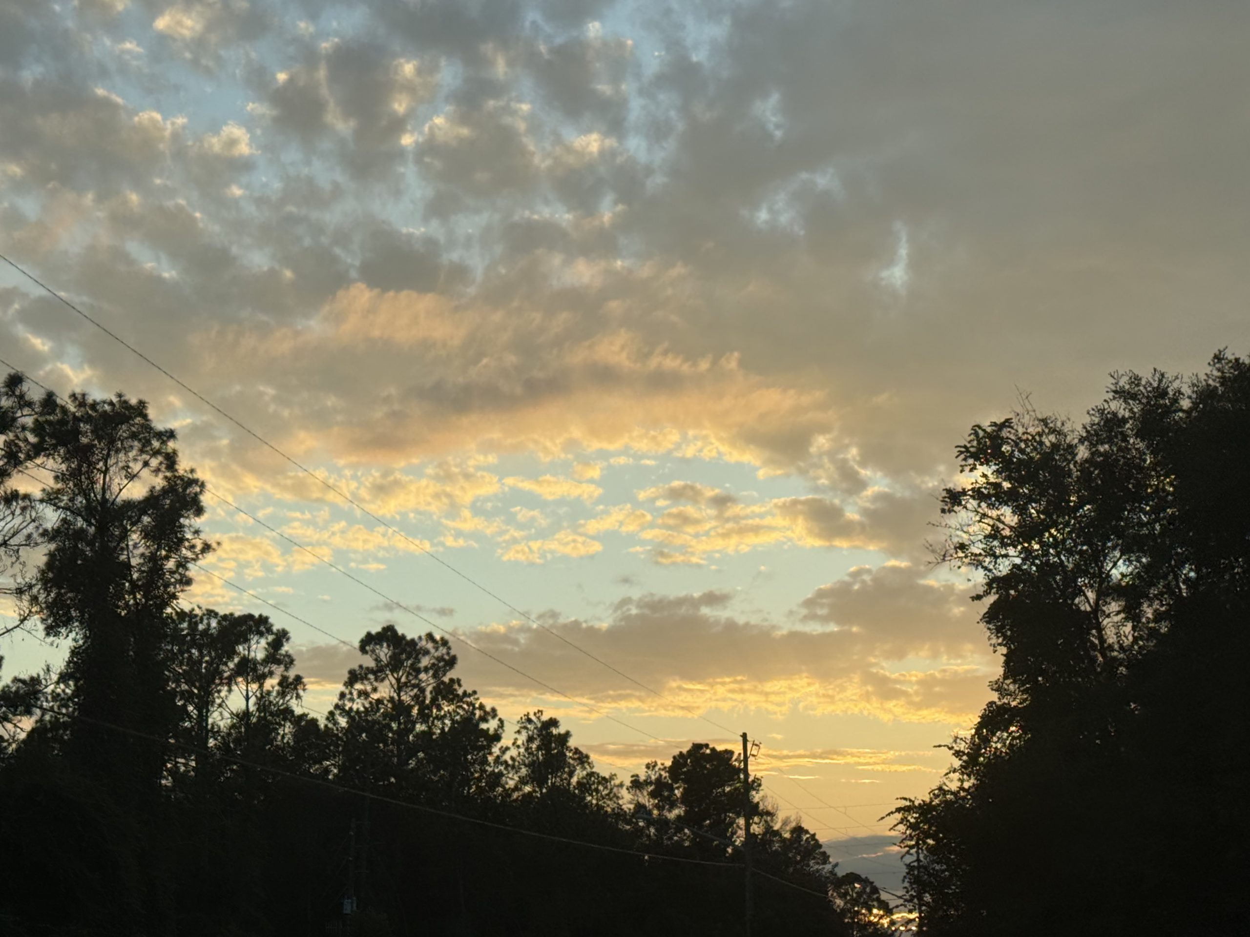 Back in the Bluegrass