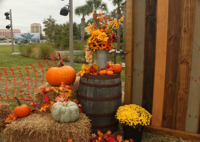 October’s Almost Over… and I Still Haven’t Made It to a Pumpkin Patch