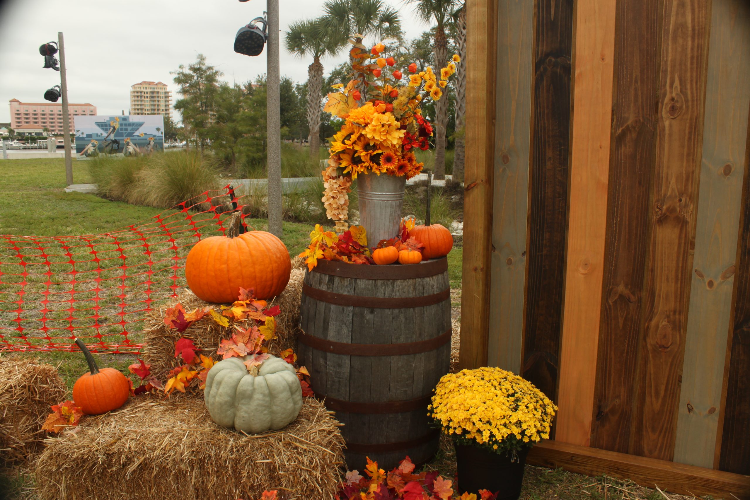 October’s Almost Over… and I Still Haven’t Made It to a Pumpkin Patch