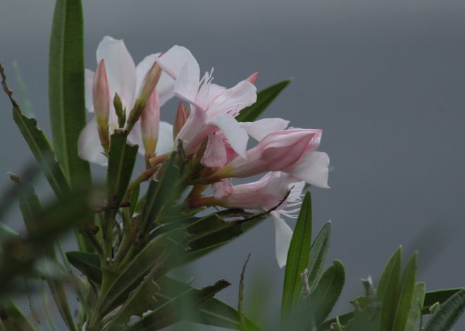 It’s Finally Friday!