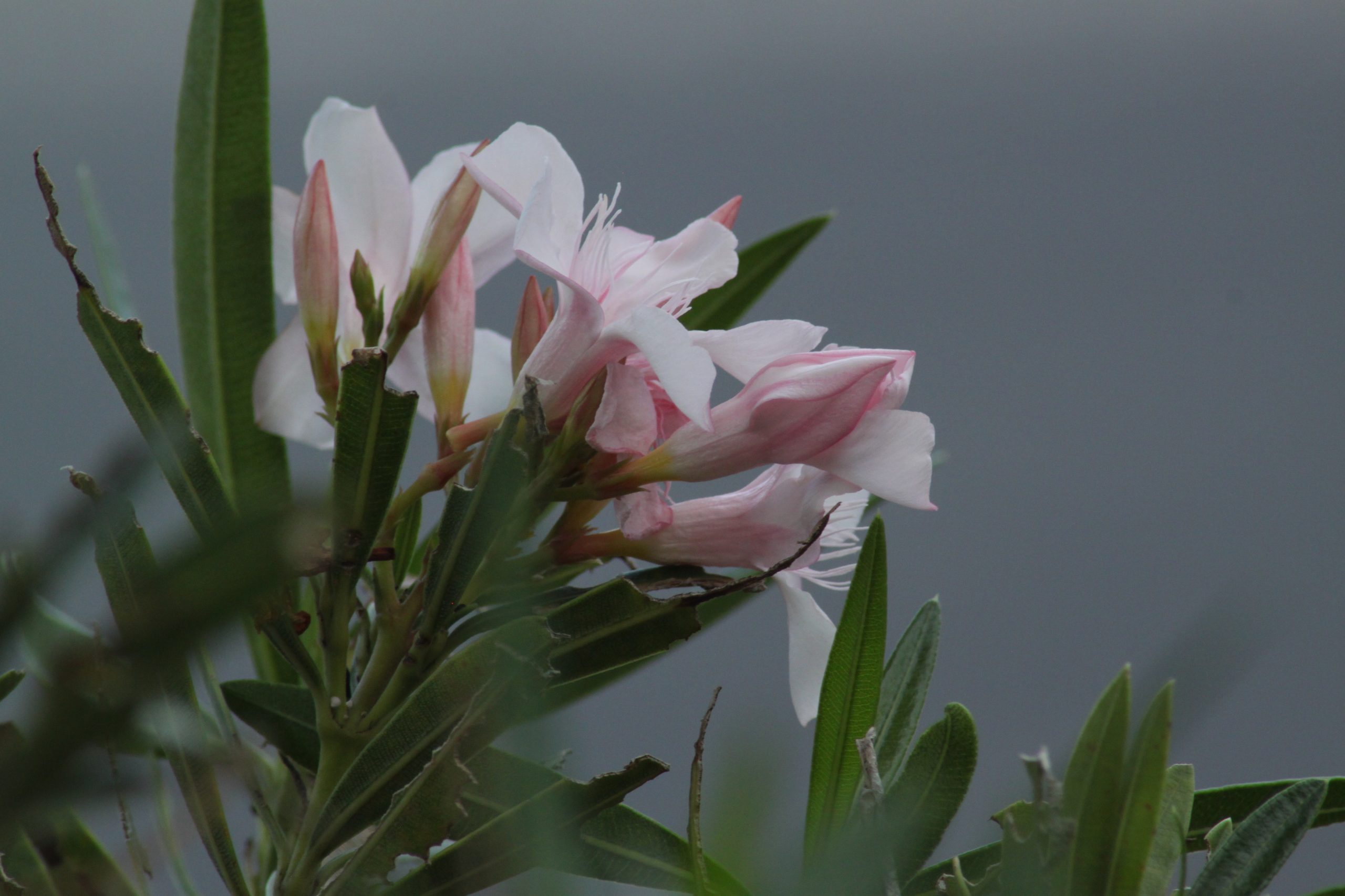 It’s Finally Friday!