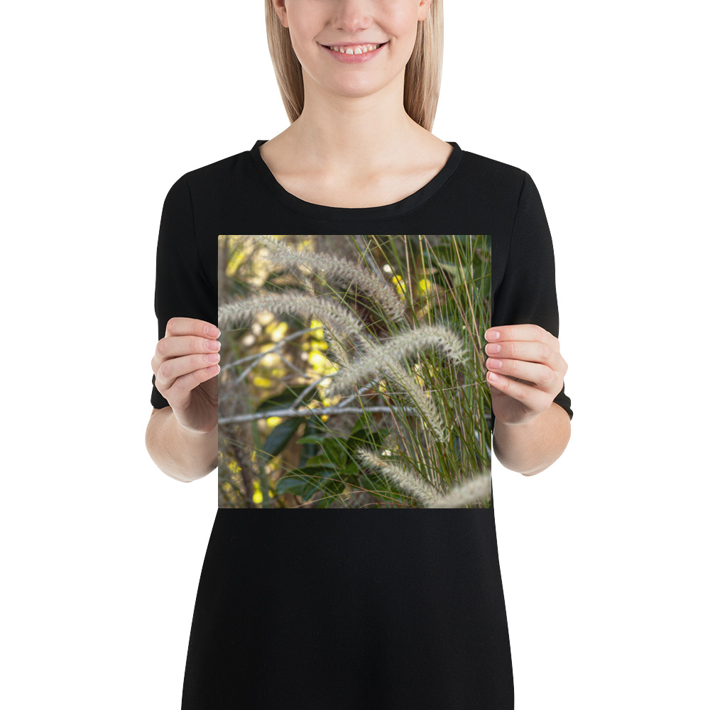 Hush of the Holler – Canvas Print by Simply Seen
