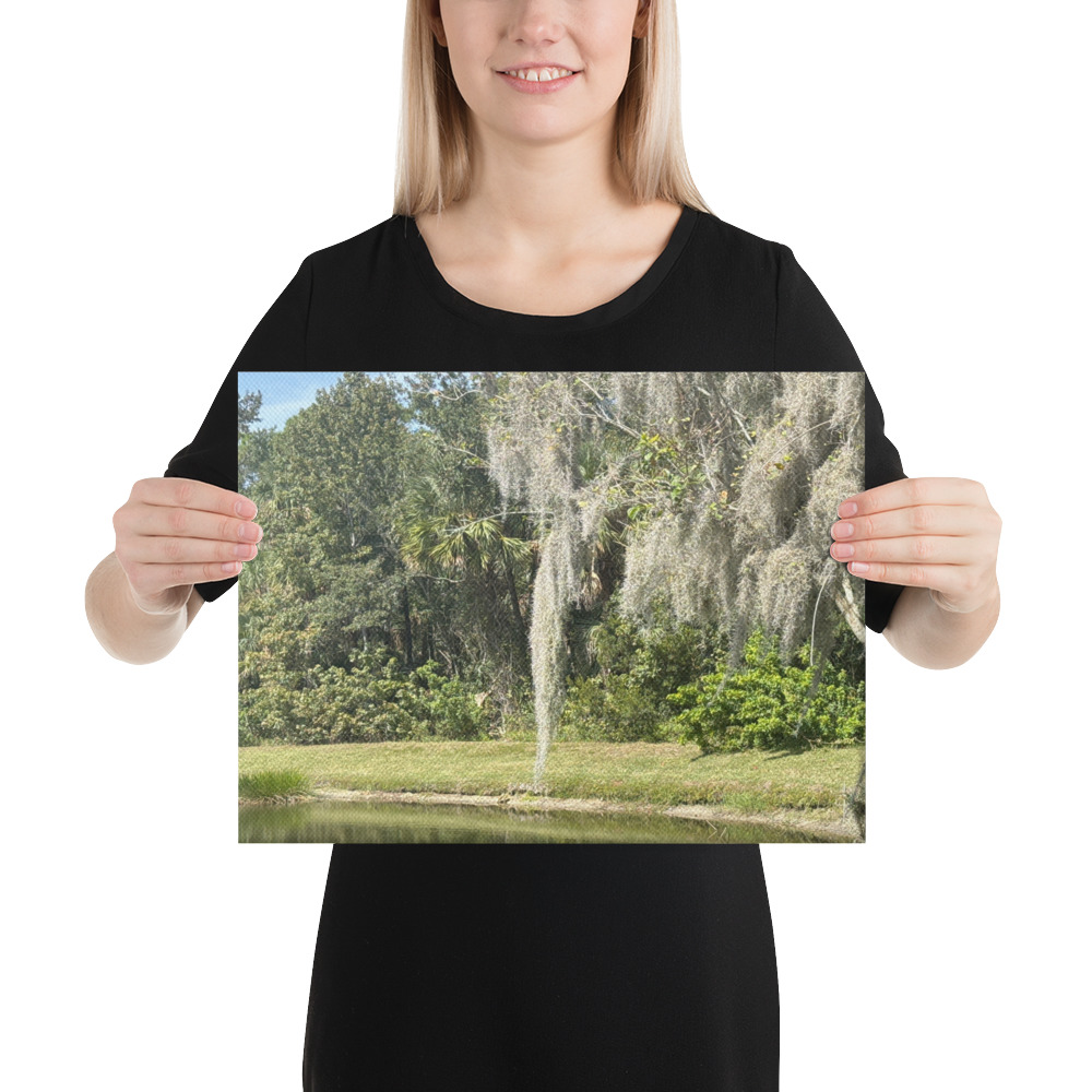 If Peace Had a Porch View – Canvas Print by Simply Seen - Image 11