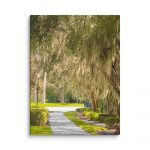 Mossy Walkway – Canvas by Simply Seen