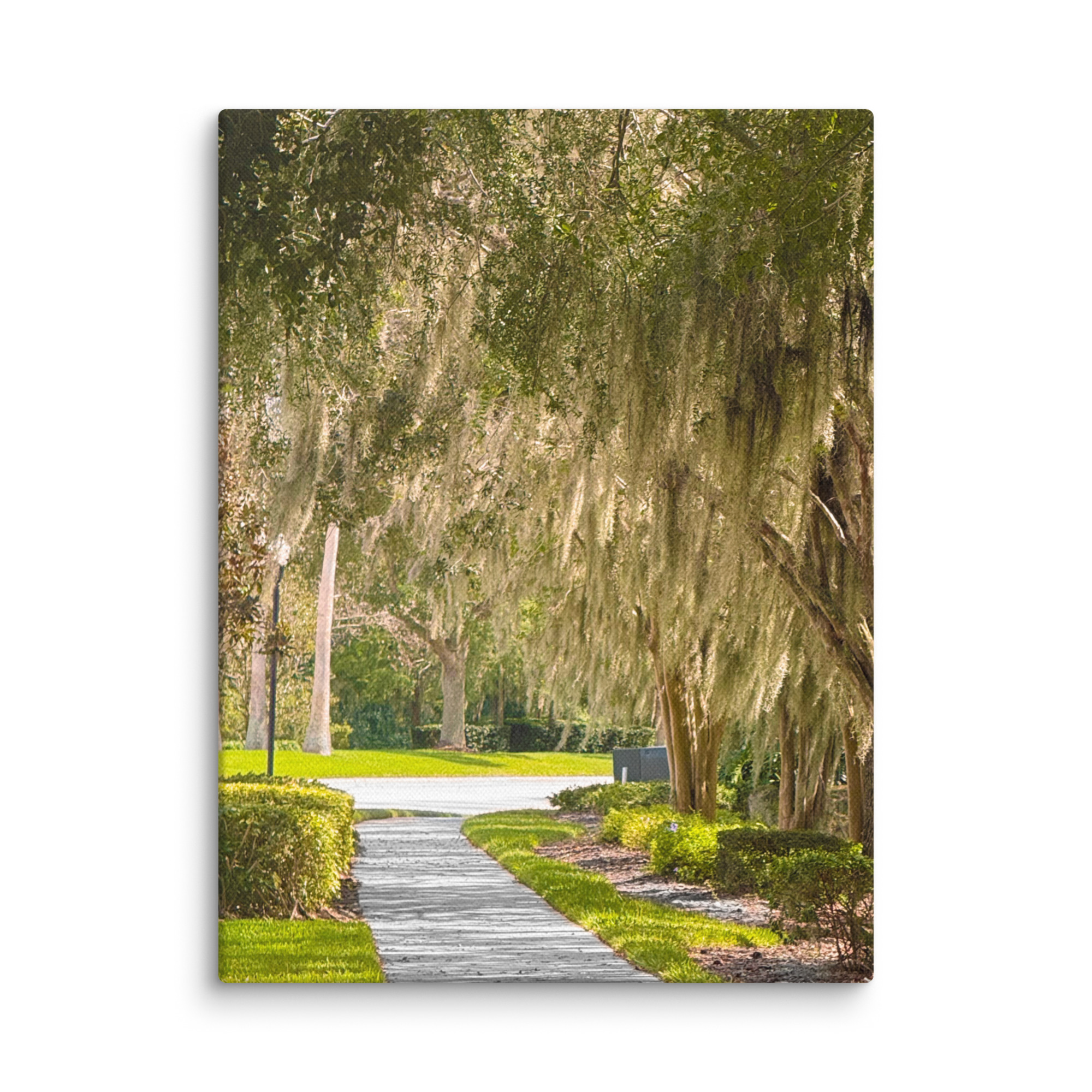 Mossy Walkway – Canvas by Simply Seen