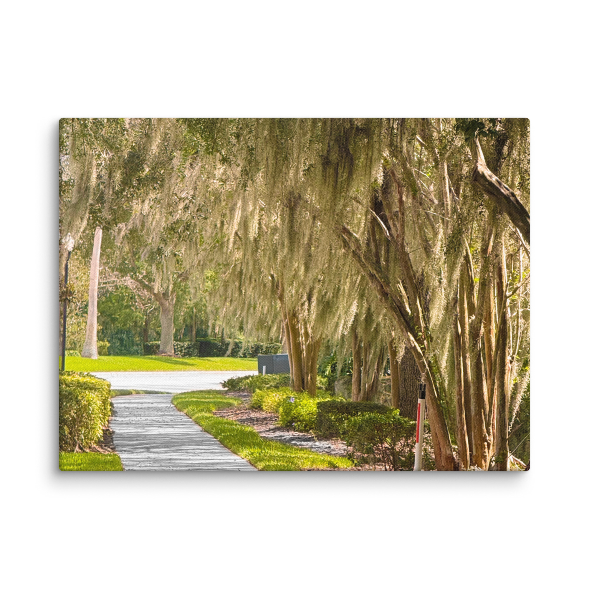 Beneath the Hanging Veil – Canvas Print by Simply Seen