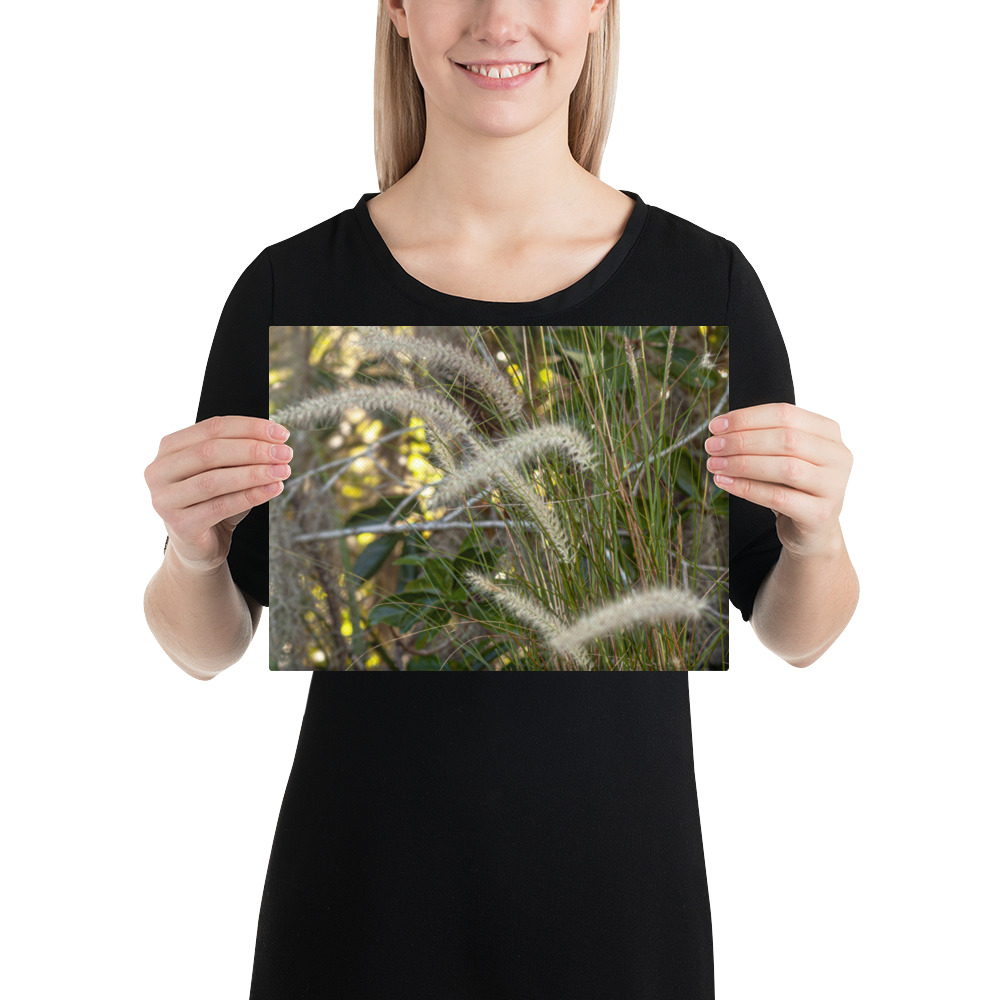 Hush of the Holler – Canvas Print by Simply Seen - Image 9