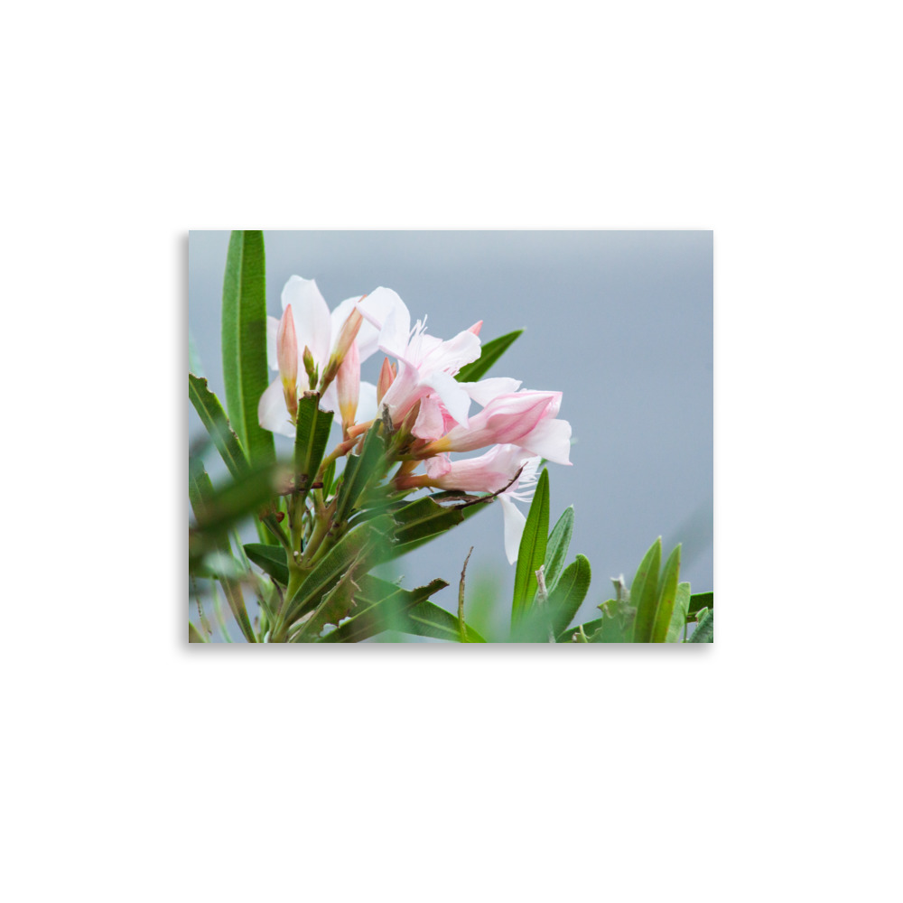 Pretty. Poisonous. Perfect. – Poster by Simply Seen