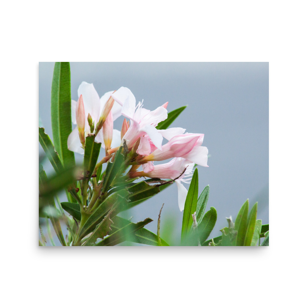 Pretty. Poisonous. Perfect. – Poster by Simply Seen - Image 4