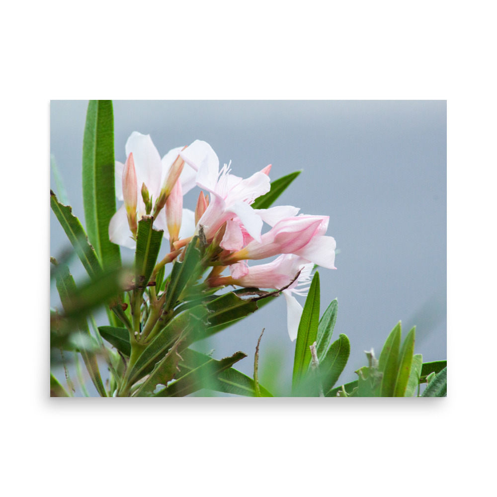 Pretty. Poisonous. Perfect. – Poster by Simply Seen - Image 5