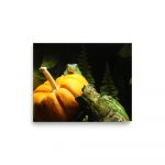 Resting Pumpkin Face – Poster by Simply Seen