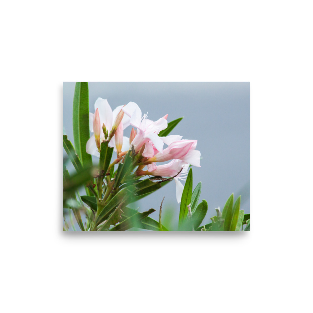 Pretty. Poisonous. Perfect. – Poster by Simply Seen - Image 7