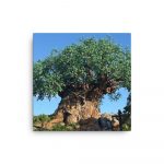 Bloom Where You’re Planted, Y’all – Thin Canvas by Simply Seen