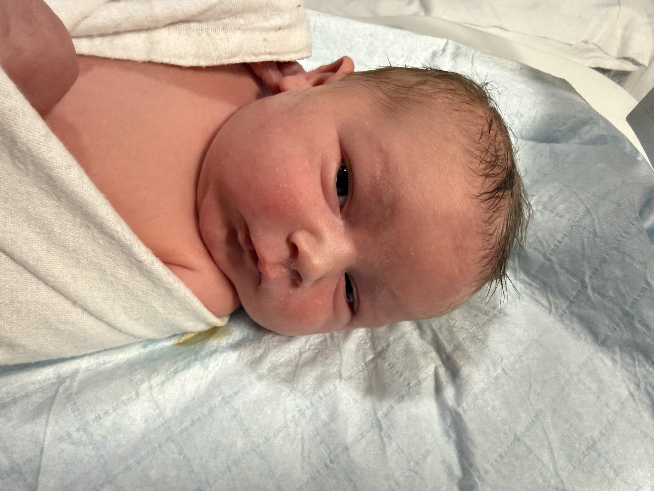 Welcome to the World, Miss LakeLynn Ann