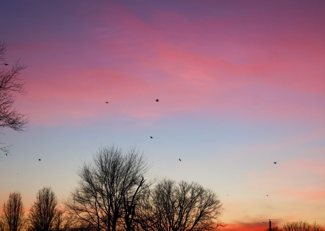 Im Back And Guess What Day It Is