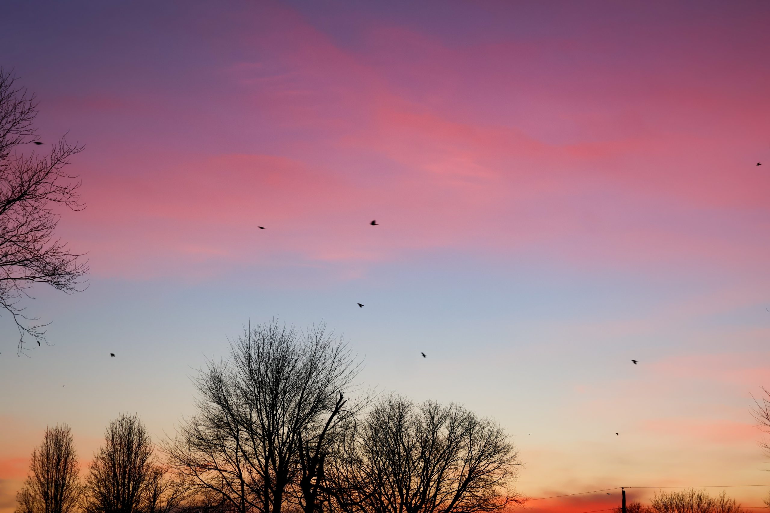 Im Back And Guess What Day It Is