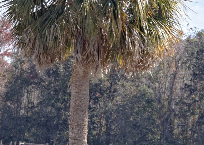 Well… I think Mother Nature is drunk. Or high. Or just plain confused.