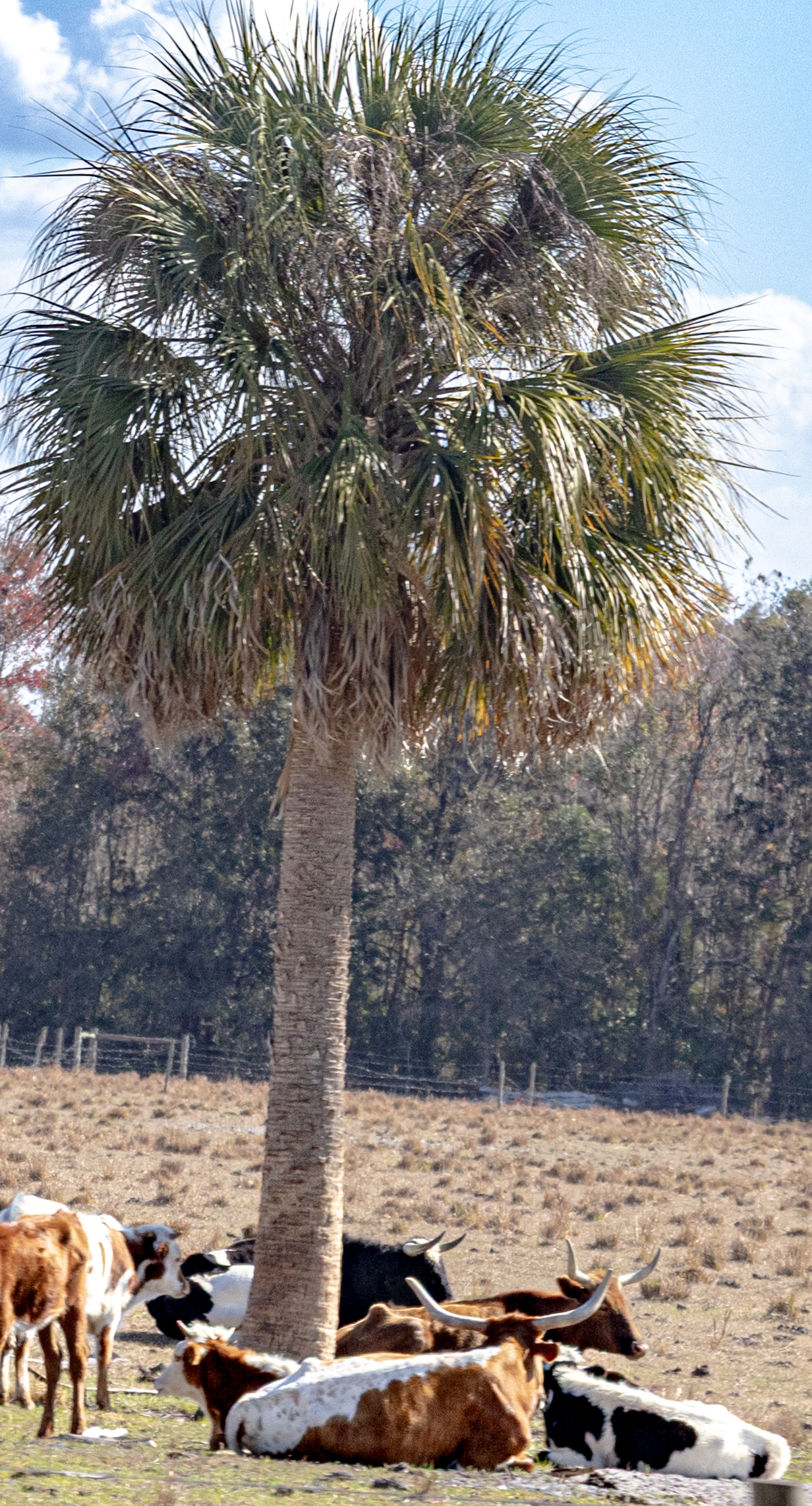 Well… I think Mother Nature is drunk. Or high. Or just plain confused.