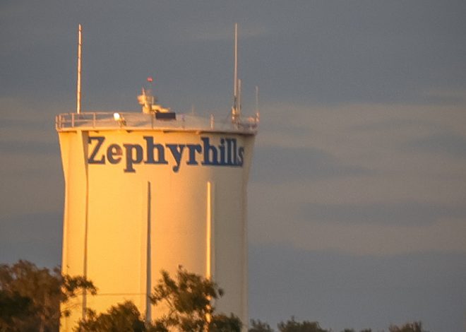 My First Photo Contest (and Day 2 of Not Missing a Post… Barely)