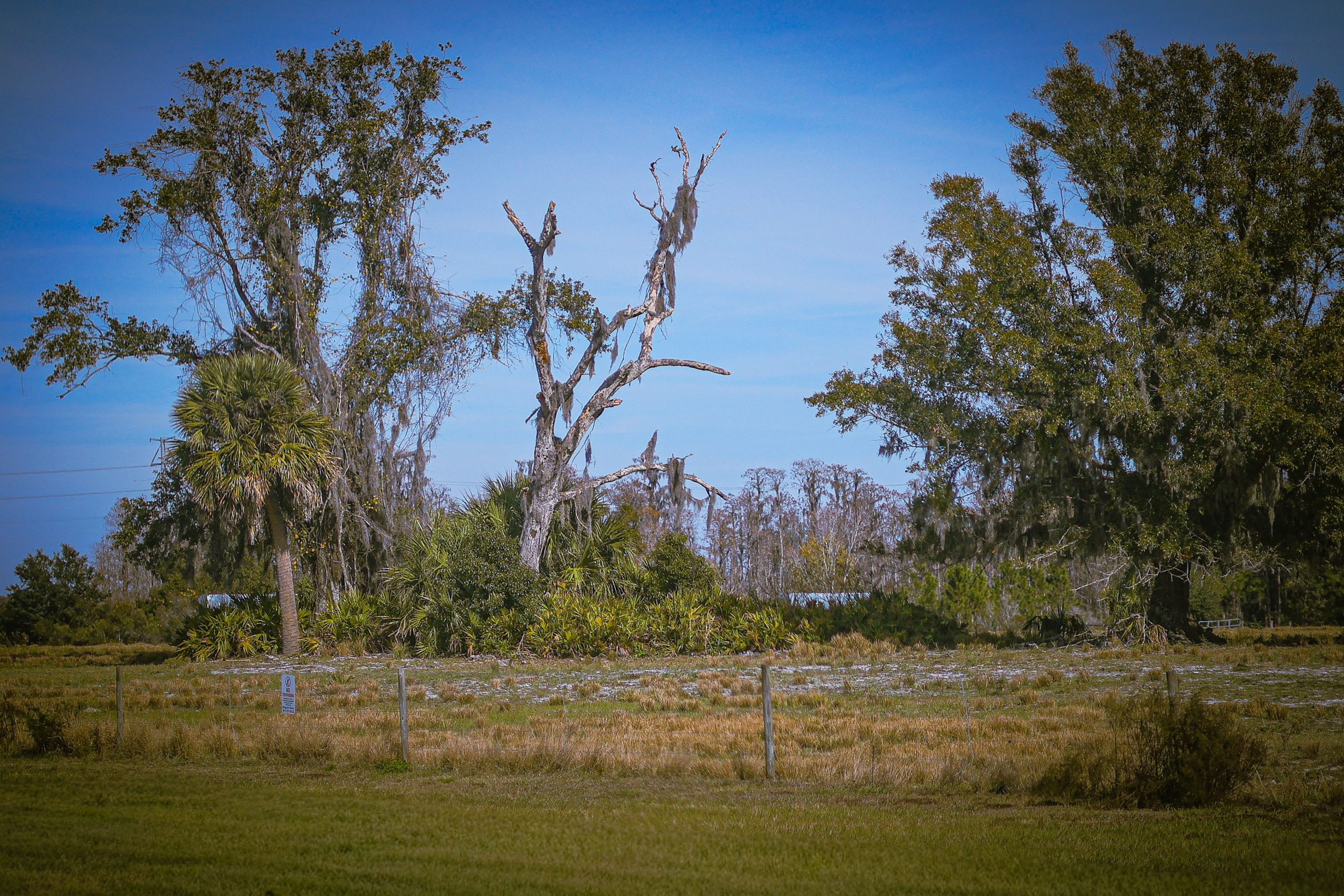 Day 14: Taking a Little Break (Grief Season & Finding My Way Back)