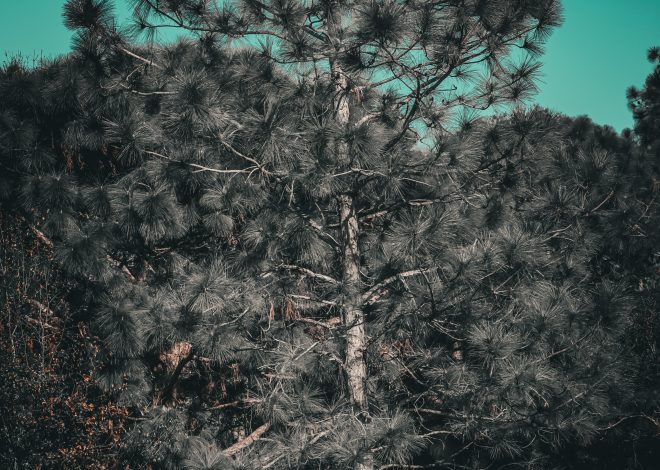 I Checked the Stats Twice… and Then Again