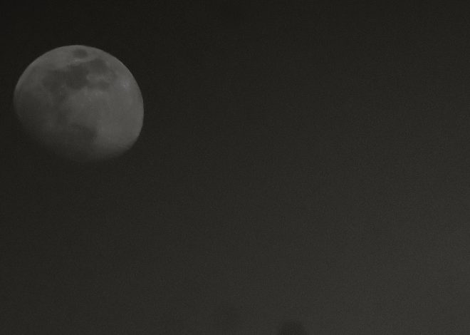 Raising Good Kids in a Very Confused Florida