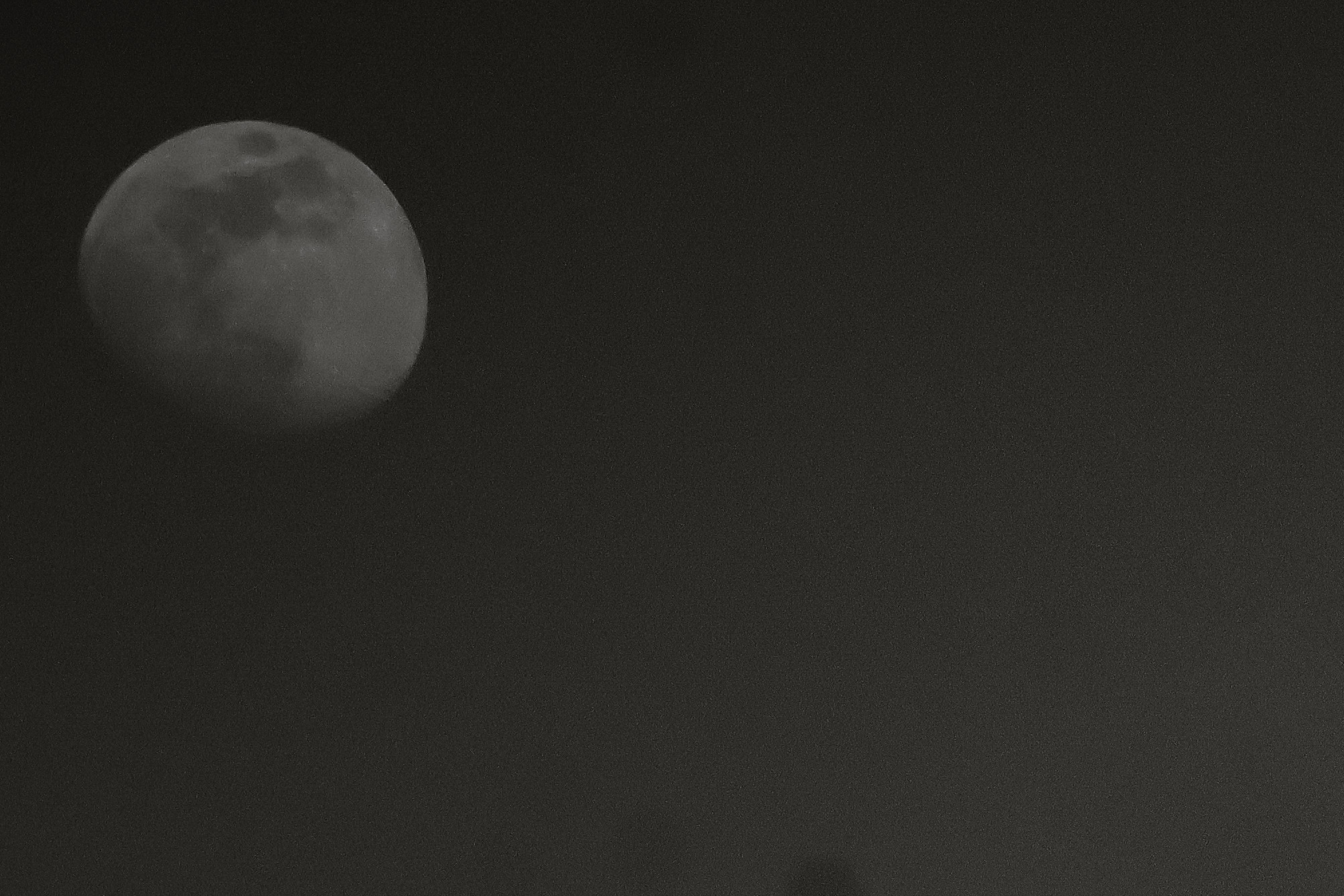 Raising Good Kids in a Very Confused Florida