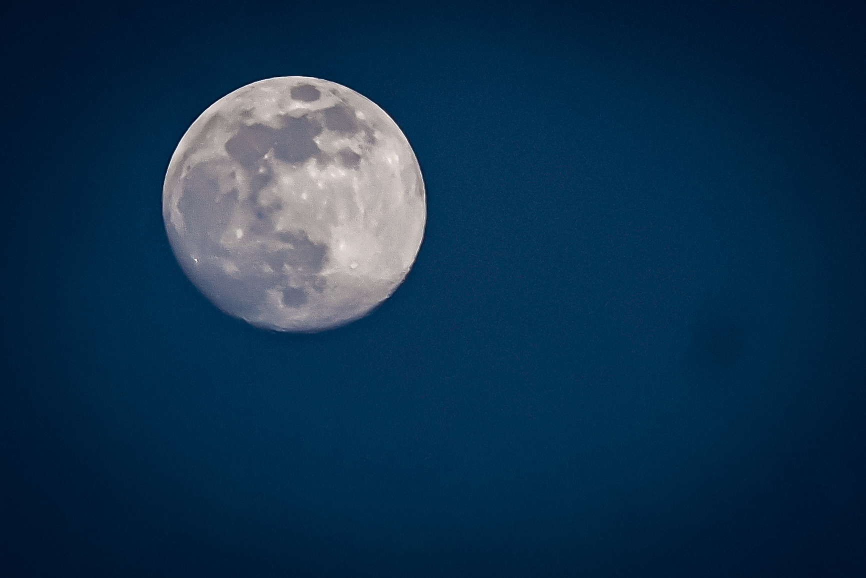 Day 7 — Blood, California, and My Anxiety