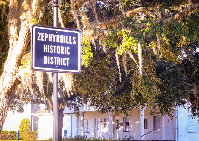 Day 3 Check-In: A Photo Chosen & Little Moments That Matter