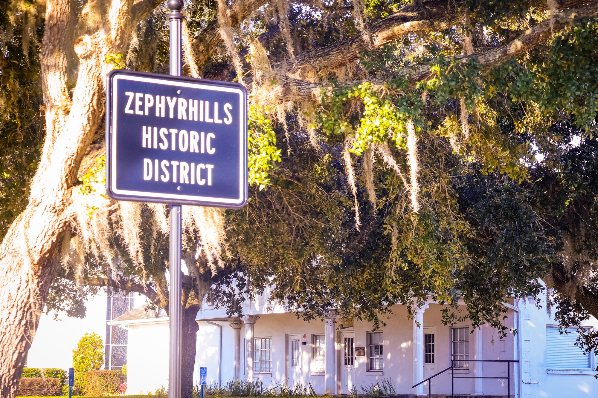 Day 3 Check-In: A Photo Chosen & Little Moments That Matter